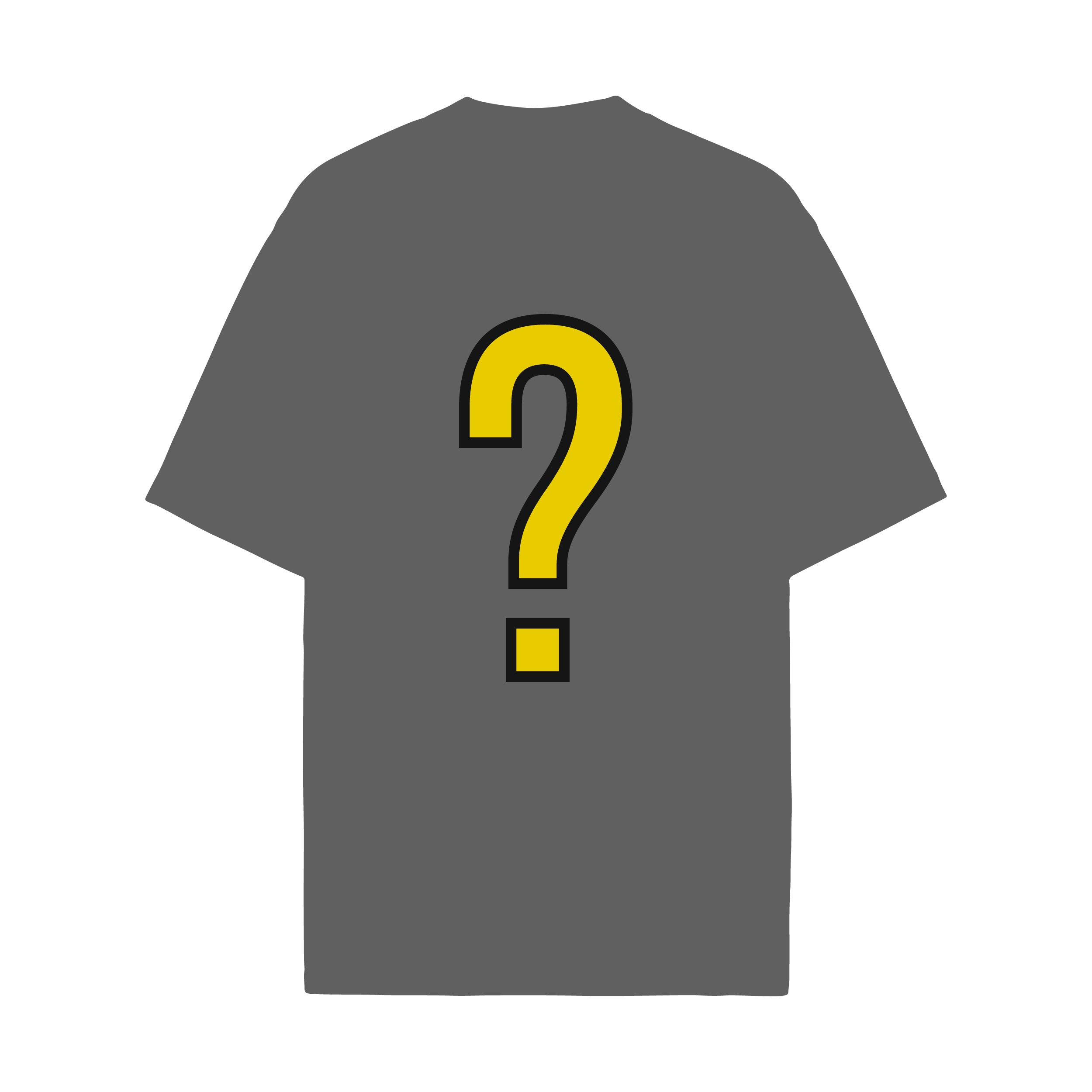 MYSTERY T-SHIRT/JERSEY