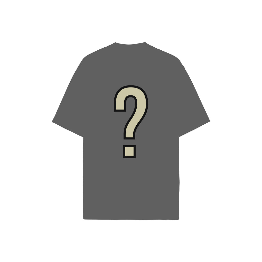 MYSTERY T-SHIRT / JERSEY
