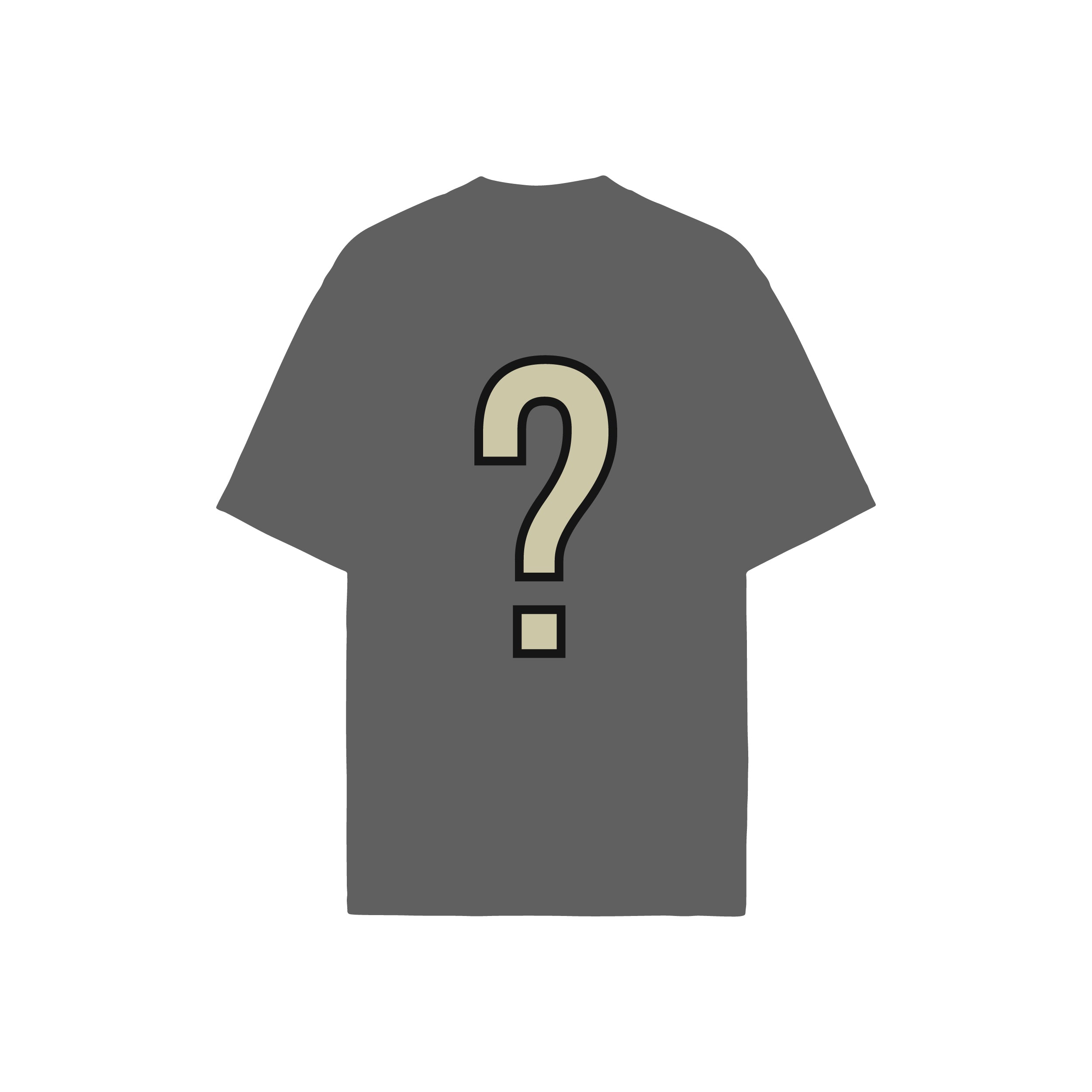 MYSTERY T-SHIRT / JERSEY