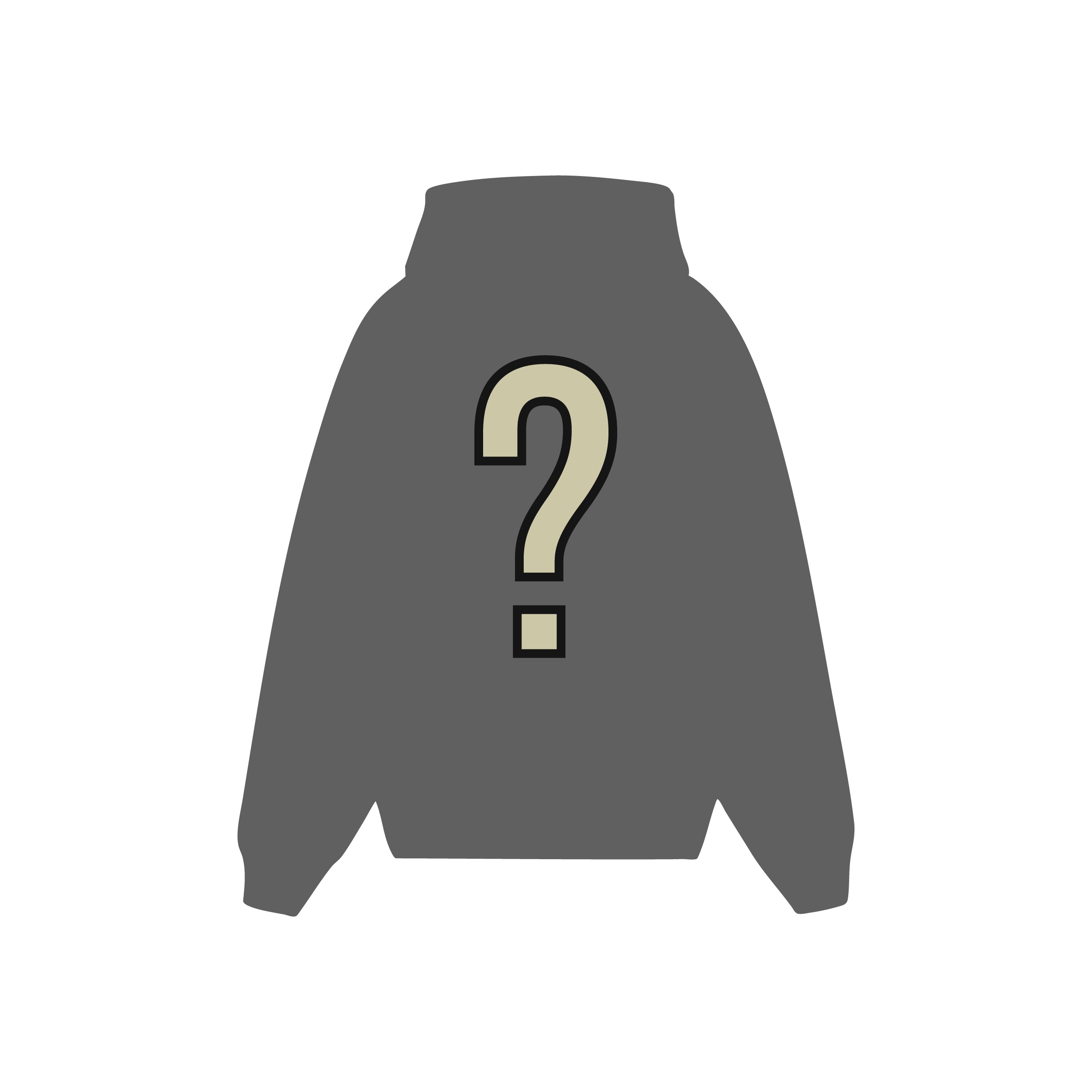 MYSTERY HOODIE / SWEATER